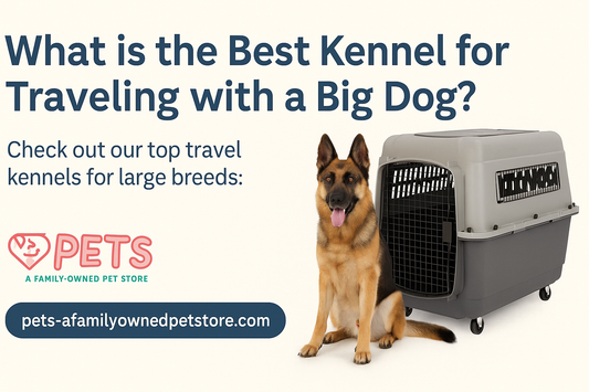 🐶 What is the Best Kennel for Traveling with a Big Dog?