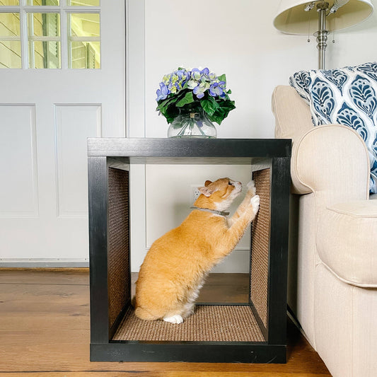 Bailey Cat Scratcher End Table in Espresso