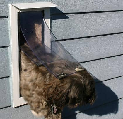 Wall Model Pet Door