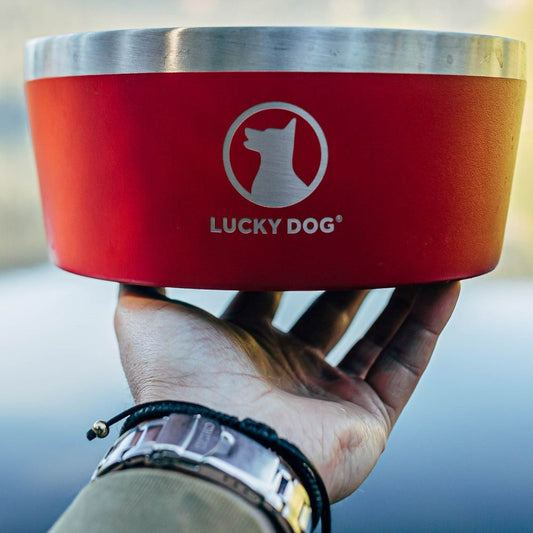 Lucky Dog INDULGE™ XL Double Wall Stainless Steel Dog Bowl (100 oz)