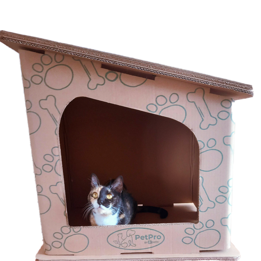 Cardboard Cat House – Sleek & Stylish
