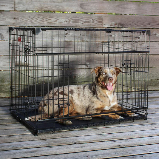 Lucky Dog™ Double-Door Crate with Sliding Doors