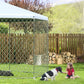 Large Outdoor Dog Kennel 13.3x13.3 FT with Roof & Lock