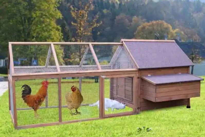 Outdoor Large Chicken Coop & Pet Kennel