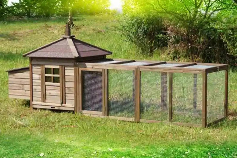 Outdoor Large Chicken Coop & Pet Kennel