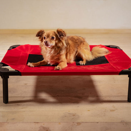 Lucky Dog™ Elevated Pet Bed Comfort Cot