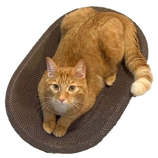 1 Cat Scratcher Oval Pad Durable, Fun, and Claw-Friendly!