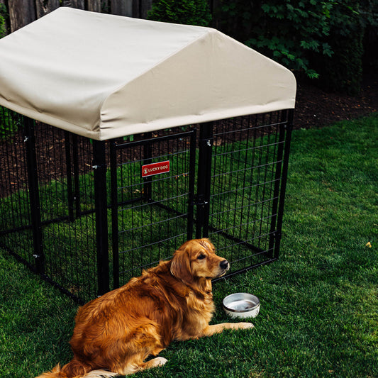 Lucky Dog® STAY Series™ 4'L x 4'W x 4'4''H Studio Jr. Kennel