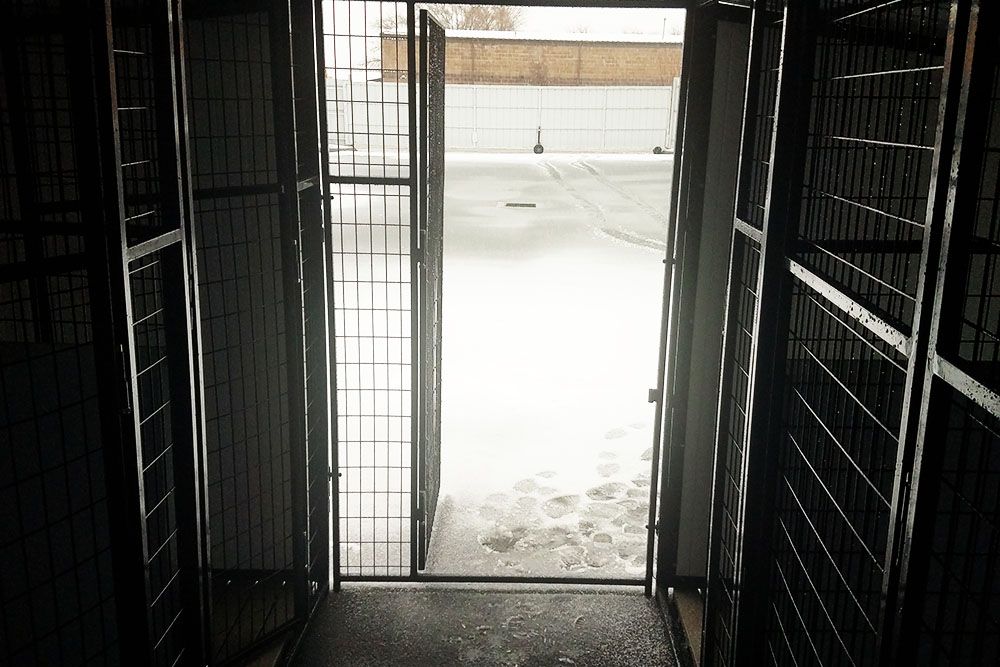 4' X 4' Multiple Vinyl Enclosed Corridor Dog Kennels x2