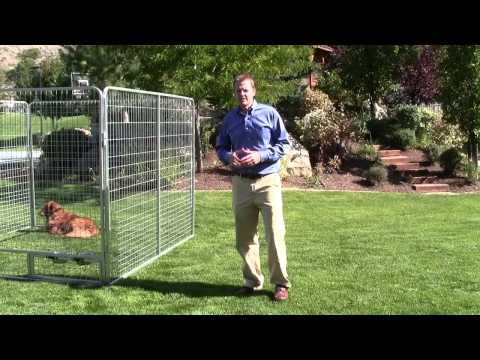 4' X 4' Basic Dog Kennel Pro (Galvanized)