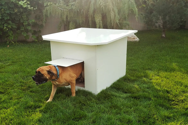 XXL Heavy Duty Powdercoated Metal Large Breed Dog House Den - Quick Ship