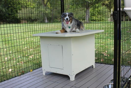 Large Heavy Duty Powdercoated Metal Large Breed Dog House Den