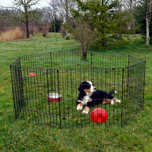 Lucky Dog™ Dog Exercise Pen w/Stakes