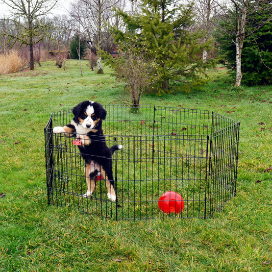 Lucky Dog™ Dog Exercise Pen w/Stakes