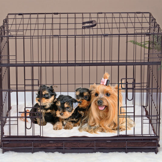 Lucky Dog™ Double-Door Crate with Sliding Doors